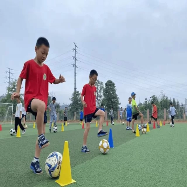 广东男篮成功晋级季后赛再现辉煌
